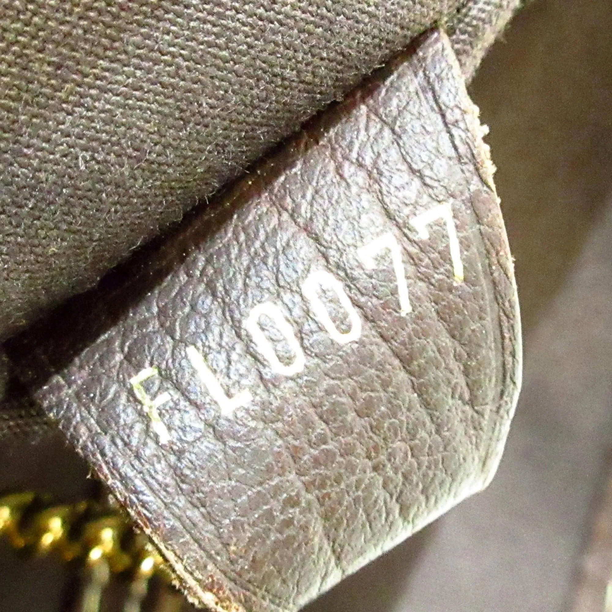 LOUIS VUITTON Monogram Mini Lin Bucket PM Bucket Bag